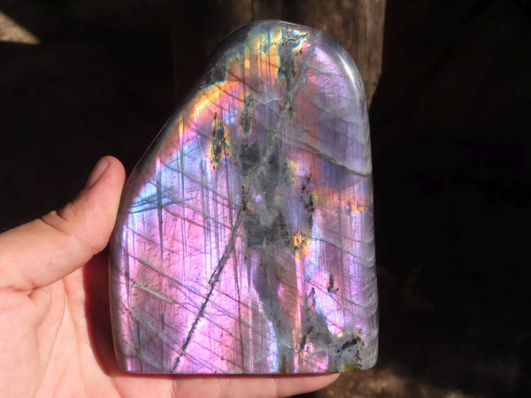Polished Gorgeous Purple Flash Labradorite Standing Free Forms  x 2 From Tulear, Madagascar