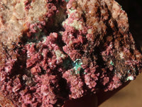 Natural Pink Salrose Cobaltion Dolomite Specimens  x 6 From Kakanda, Congo - Toprock Gemstones and Minerals 