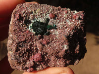 Natural Pink Salrose Cobaltion Dolomite Specimens  x 6 From Kakanda, Congo - Toprock Gemstones and Minerals 
