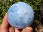 Polished Blue Calcite Spheres x 2 From Ihadilalana, Madagascar - Toprock Gemstones and Minerals 