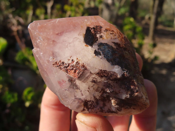 Natural Red Hematoid Quartz Specimens x 6 From Karoi, Zimbabwe - Toprock Gemstones and Minerals 