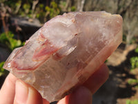 Natural Red Hematoid Quartz Specimens x 6 From Karoi, Zimbabwe - Toprock Gemstones and Minerals 