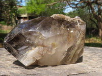 Polished Smokey Quartz Crystals  x 2 From Madagascar - TopRock