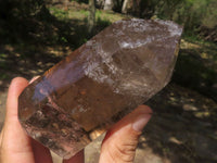 Polished Smokey Quartz Crystals  x 2 From Madagascar - TopRock