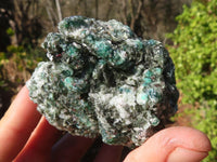 Natural Rare Emerald Mica In Matrix Cobbed Specimens x 10 From Mutoko, Zimbabwe - Toprock Gemstones and Minerals 