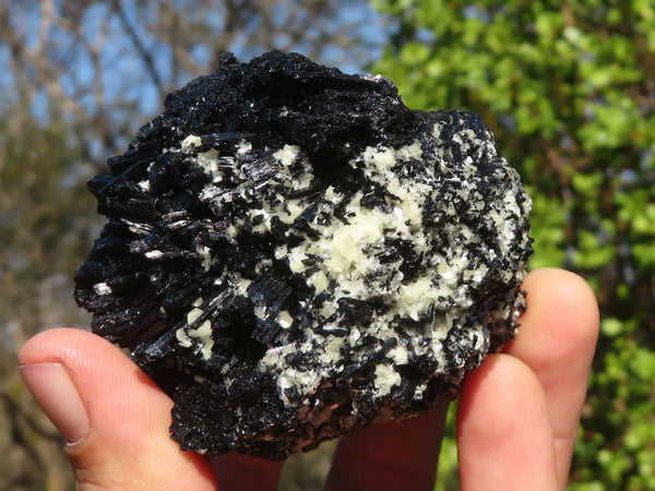Natural Schorl Black Tourmaline Specimens  x 3 From Erongo, Namibia - Toprock Gemstones and Minerals 