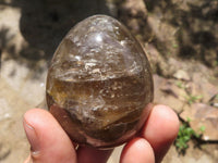 Polished Smokey Morion Quartz Eggs  x 6 From Madagascar - TopRock