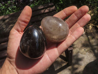 Polished Smokey Morion Quartz Eggs  x 6 From Madagascar - TopRock