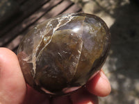 Polished Smokey Morion Quartz Eggs  x 6 From Madagascar - TopRock