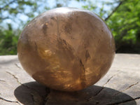 Polished Smokey Morion Quartz Eggs  x 6 From Madagascar - TopRock