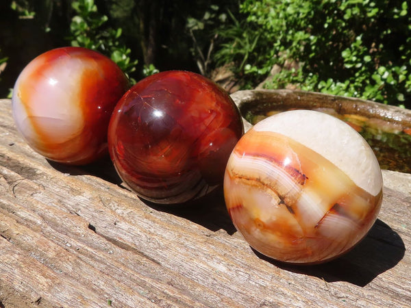 Polished Carnelian Agate Spheres  x 3 From Madagascar - Toprock Gemstones and Minerals 