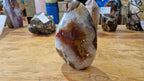 (+12 WEEKS!) Polished Large Carnelian Agate Gemstone Stranding Display Piece x 1 From Nosy Varika, Madagascar