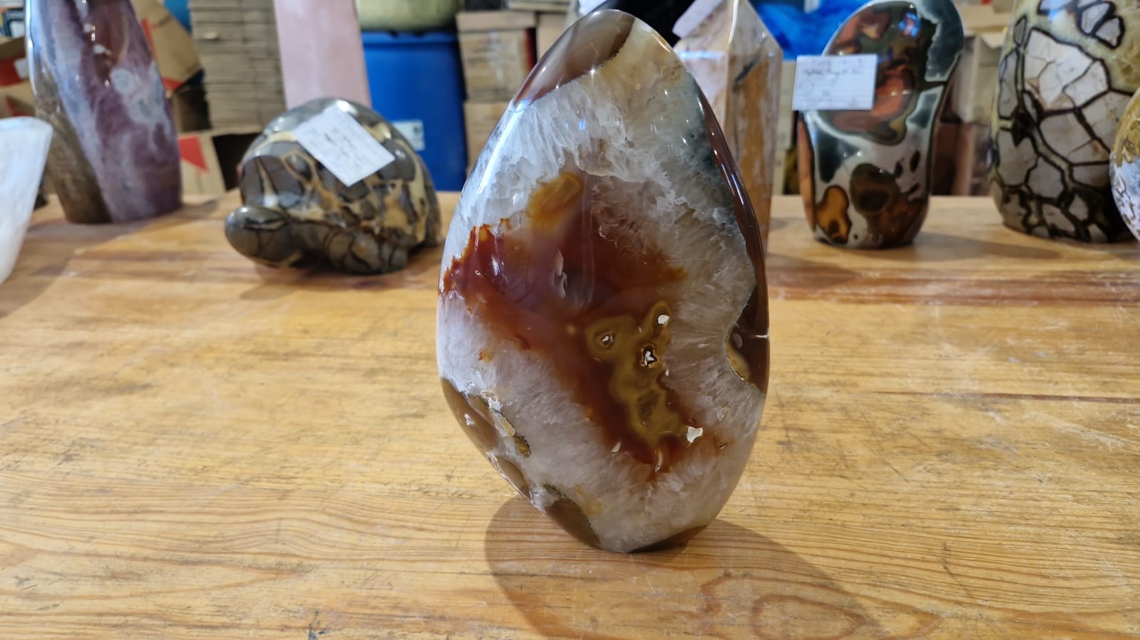 (+12 WEEKS!) Polished Large Carnelian Agate Gemstone Stranding Display Piece x 1 From Nosy Varika, Madagascar