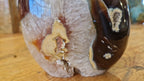 (+12 WEEKS!) Polished Large Carnelian Agate Gemstone Stranding Display Piece x 1 From Nosy Varika, Madagascar