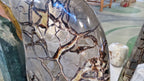 (+12 WEEKS!) Polished and Natural XXL Septerye Sauvage Standing Showpiece with an Ammonite x 1 From Mahajanga, Madagascar