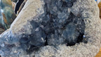 (+12 WEEKS!) Natural XL Celestite Geode x 1 From Sakoane, Madagascar