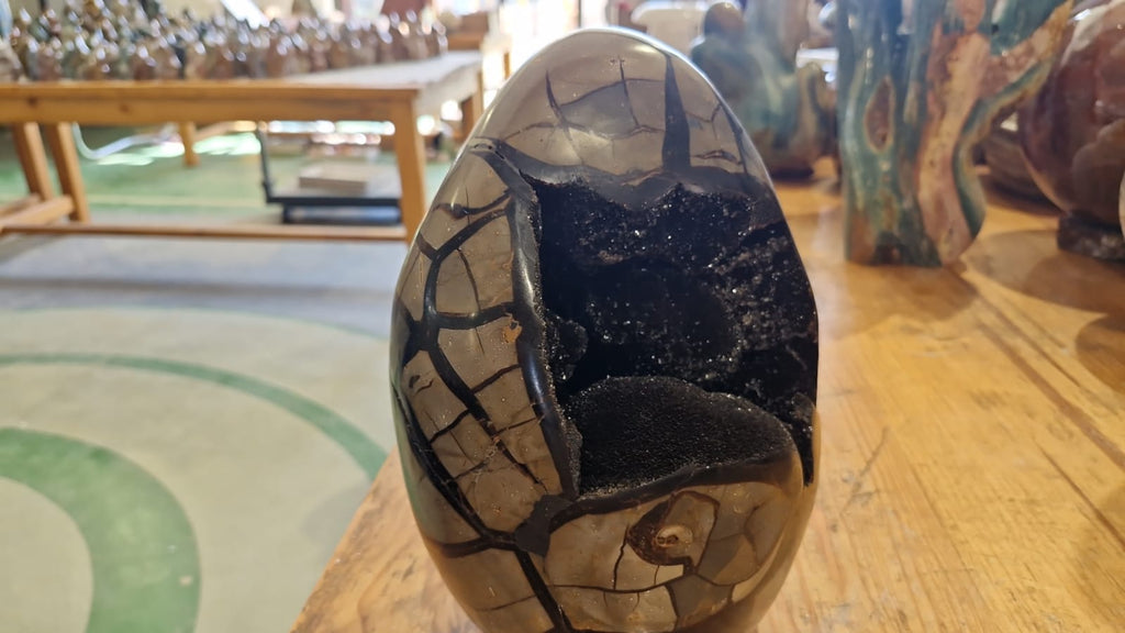 (+12 WEEKS!) Polished and Natural XL Septerye Sauvage Dragons Egg Geode x 1 From Mahajanga, Madagascar
