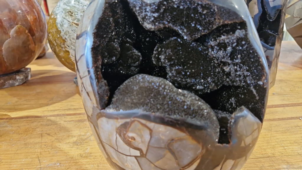 (+12 WEEKS!) Polished and Natural XL Septerye Sauvage Dragons Egg Geode x 1 From Mahajanga, Madagascar