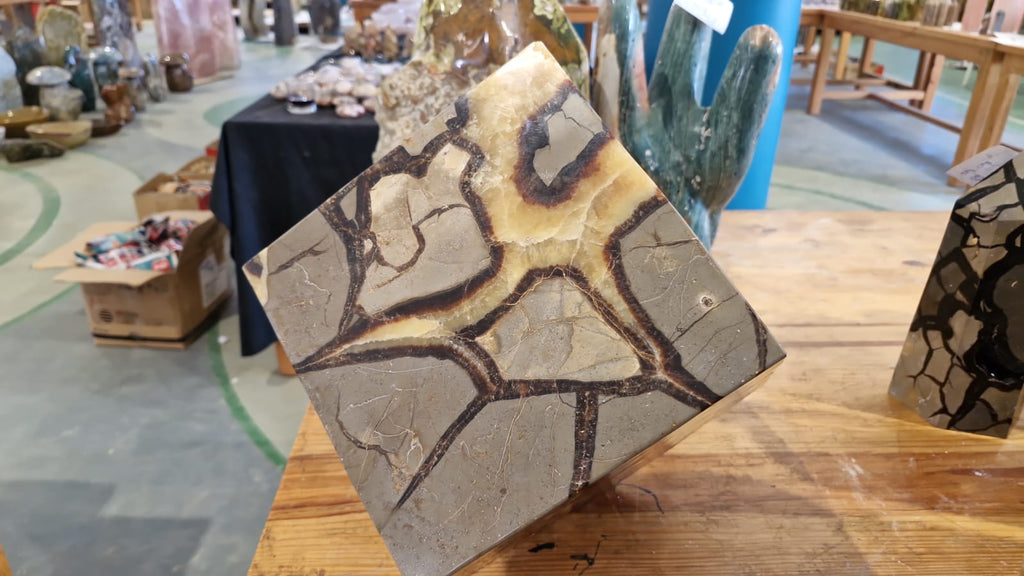 (+12 WEEKS!) Polished XXL Septerye Standing Cube x 1 From Mahajanga, Madagascar
