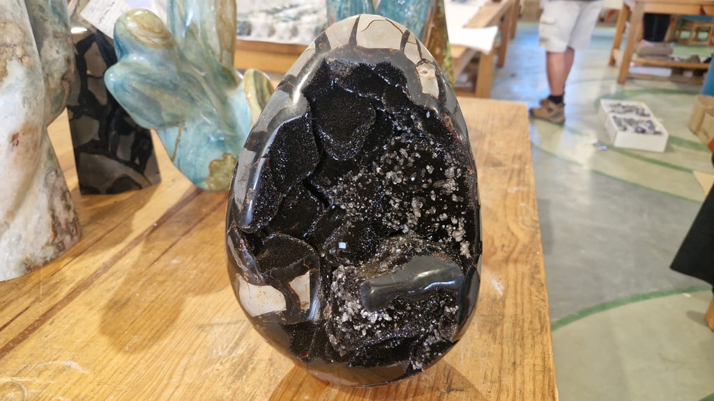 (+12 WEEKS!) Polished and Natural Septerye Sauvage Dragons Egg Geode x 1 From Mahajanga, Madagascar