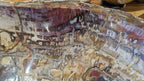 (+12 WEEKS!) Polished and Natural XXL Petrified Wood Bowl x 1 From Marovoay, Madagascar