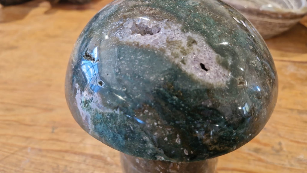 (+12 WEEKS!) Polished XL Rare Ocean Jasper Mushroom x 1 From Boeny, Madagascar
