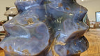 (+12 WEEKS!) Polished XL Agate Flame Carving x 1 From Maintirano, Madagascar