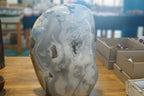 (+12 WEEKS!) Polished and Natural XL Rare Ocean Jasper Standing Display Free Form x 1 From Boeny, Madagascar