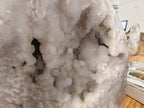 (+12 WEEKS!) Polished and Natural XL Rare Ocean Jasper Standing Display Free Form x 1 From Boeny, Madagascar