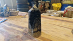 (+12 WEEKS!) Polished and Natural Large Septerye Sauvage Standing Display Crystal x 1 From Mahajanga, Madagascar