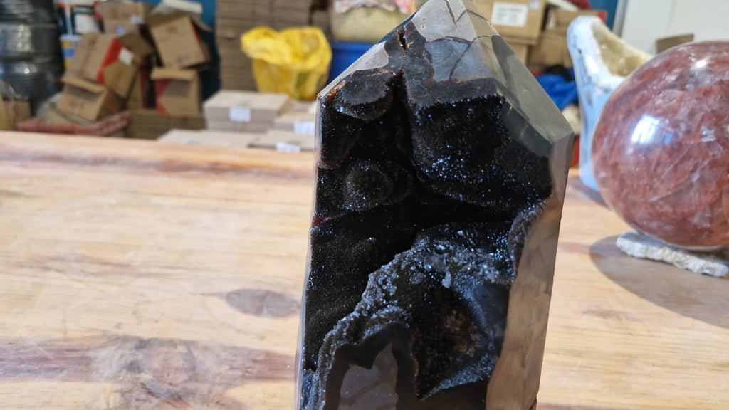 (+12 WEEKS!) Polished and Natural Large Septerye Sauvage Standing Display Crystal x 1 From Mahajanga, Madagascar