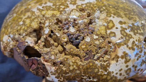 (+12 WEEKS!) Polished XXL Rare Orbicular Ocean Jasper Double Mushroom x 1 From Boeny, Madagascar