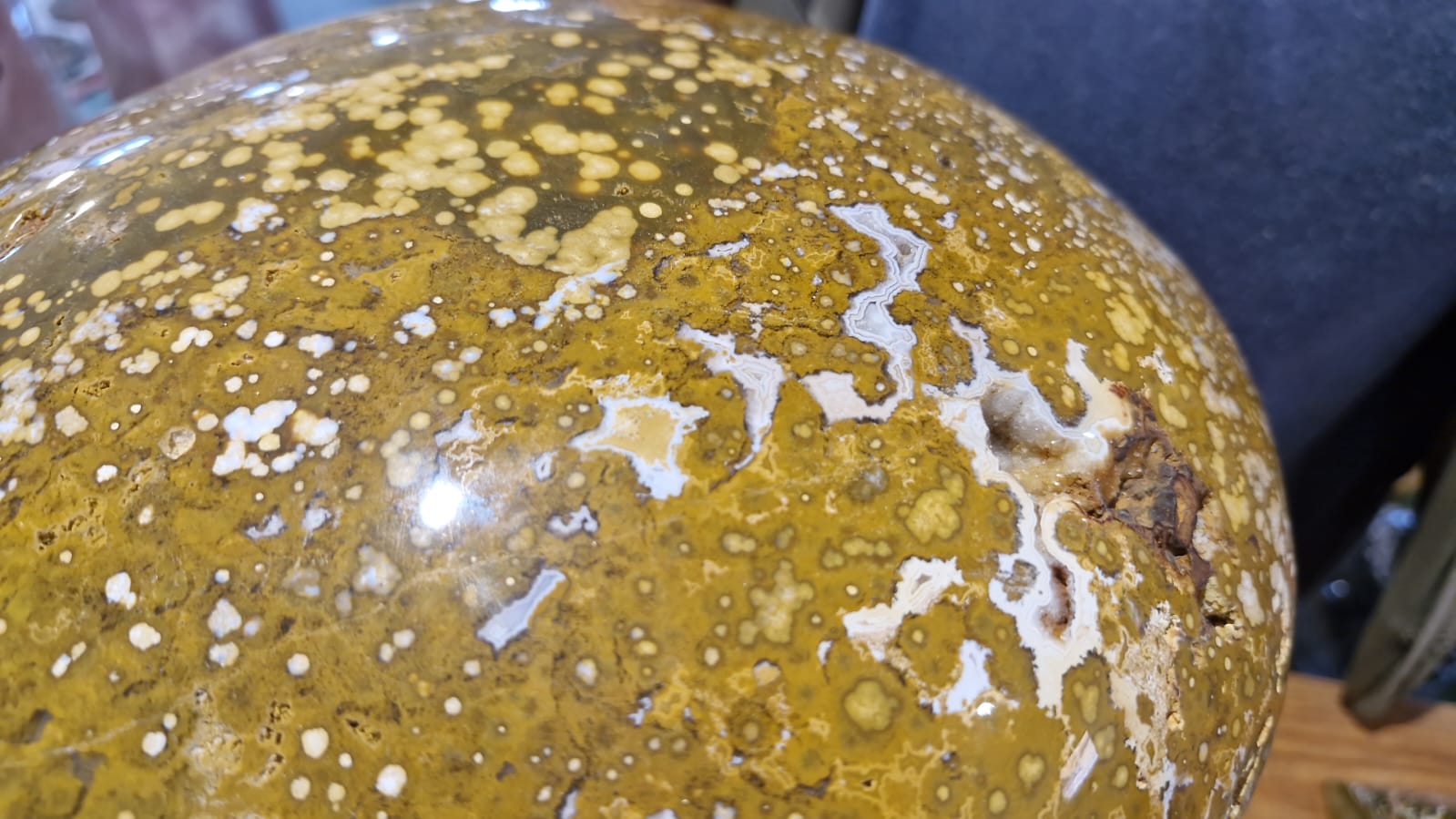 (+12 WEEKS!) Polished XXL Rare Orbicular Ocean Jasper Double Mushroom x 1 From Boeny, Madagascar