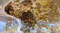(+12 WEEKS!) Polished XXL Rare Orbicular Ocean Jasper Double Mushroom x 1 From Boeny, Madagascar
