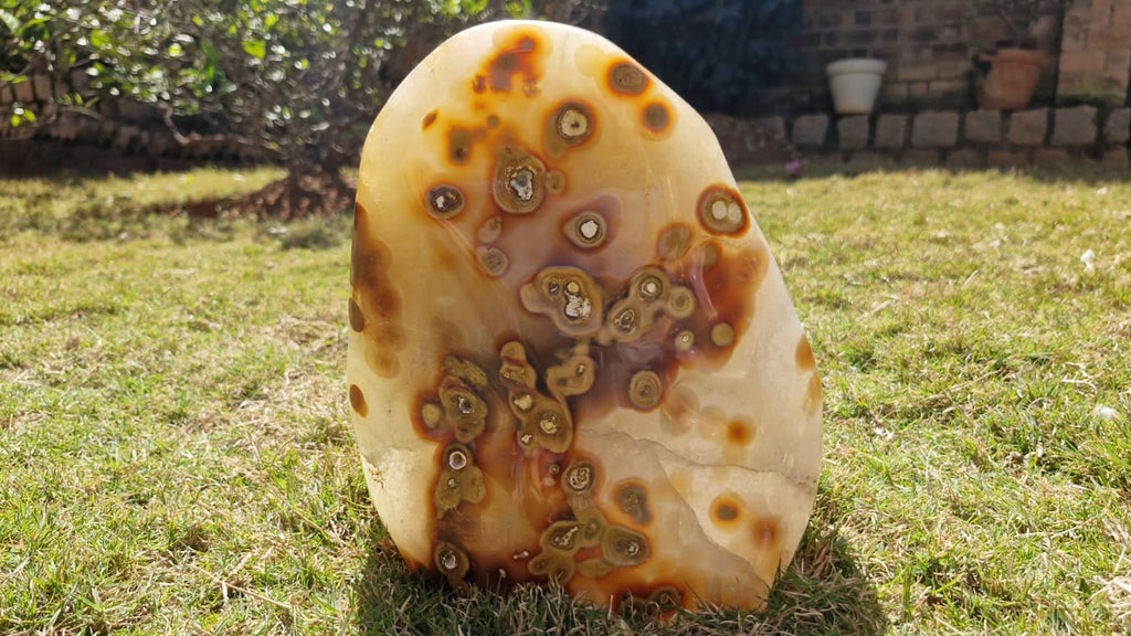 (+12 WEEKS!) Polished and Natural Large Carnelian Gemstone Standing Display Piece x 1 From Marovoay, Madagascar