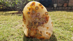 (+12 WEEKS!) Polished and Natural Large Carnelian Gemstone Standing Display Piece x 1 From Marovoay, Madagascar