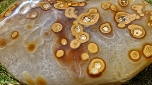 (+12 WEEKS!) Polished and Natural Large Carnelian Gemstone Standing Display Piece x 1 From Marovoay, Madagascar