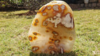 (+12 WEEKS!) Polished and Natural Large Carnelian Gemstone Standing Display Piece x 1 From Marovoay, Madagascar