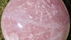 (+12 WEEKS!) Polished XXL Gemmy Rose Quartz Ball x 1 From Ambatondrazaka, Madagascar
