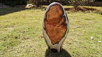 (+12 WEEKS!) Polished XL Polychrome Jasper Standing Display Piece x 1 From NW Coast, Madagascar