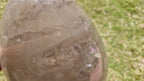 (+12 WEEKS!) Polished XXL Smokey Quartz Crystal Egg x 1 From Madagascar