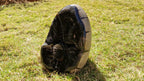 (+12 WEEKS!) Polished and Natural Large Septerye Sauvage Dragons Egg Geode x 1 From Mahajanga, Madagascar