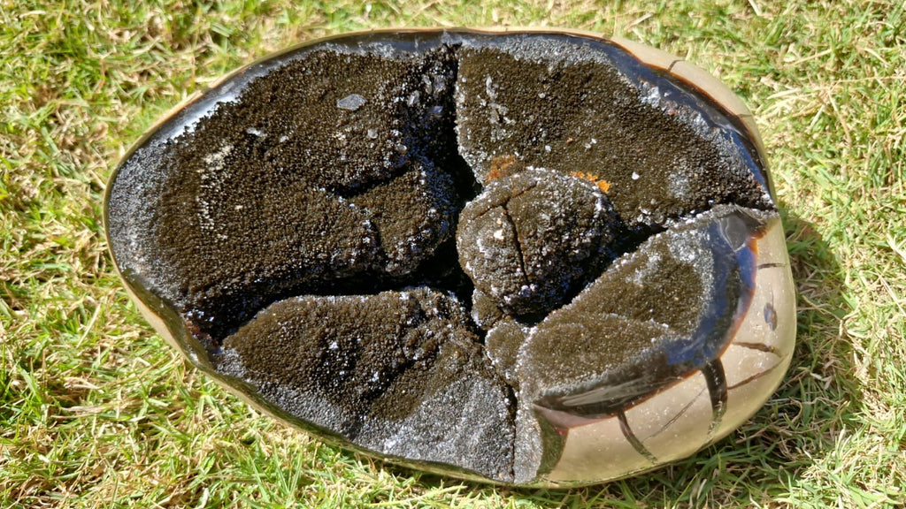 (+12 WEEKS!) Polished and Natural Large Septerye Sauvage Dragons Egg Geode x 1 From Mahajanga, Madagascar