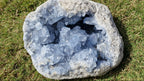 (+12 WEEKS!) Natural XL Celestite Geode Specimen x 1 From Sakoane, Madagascar