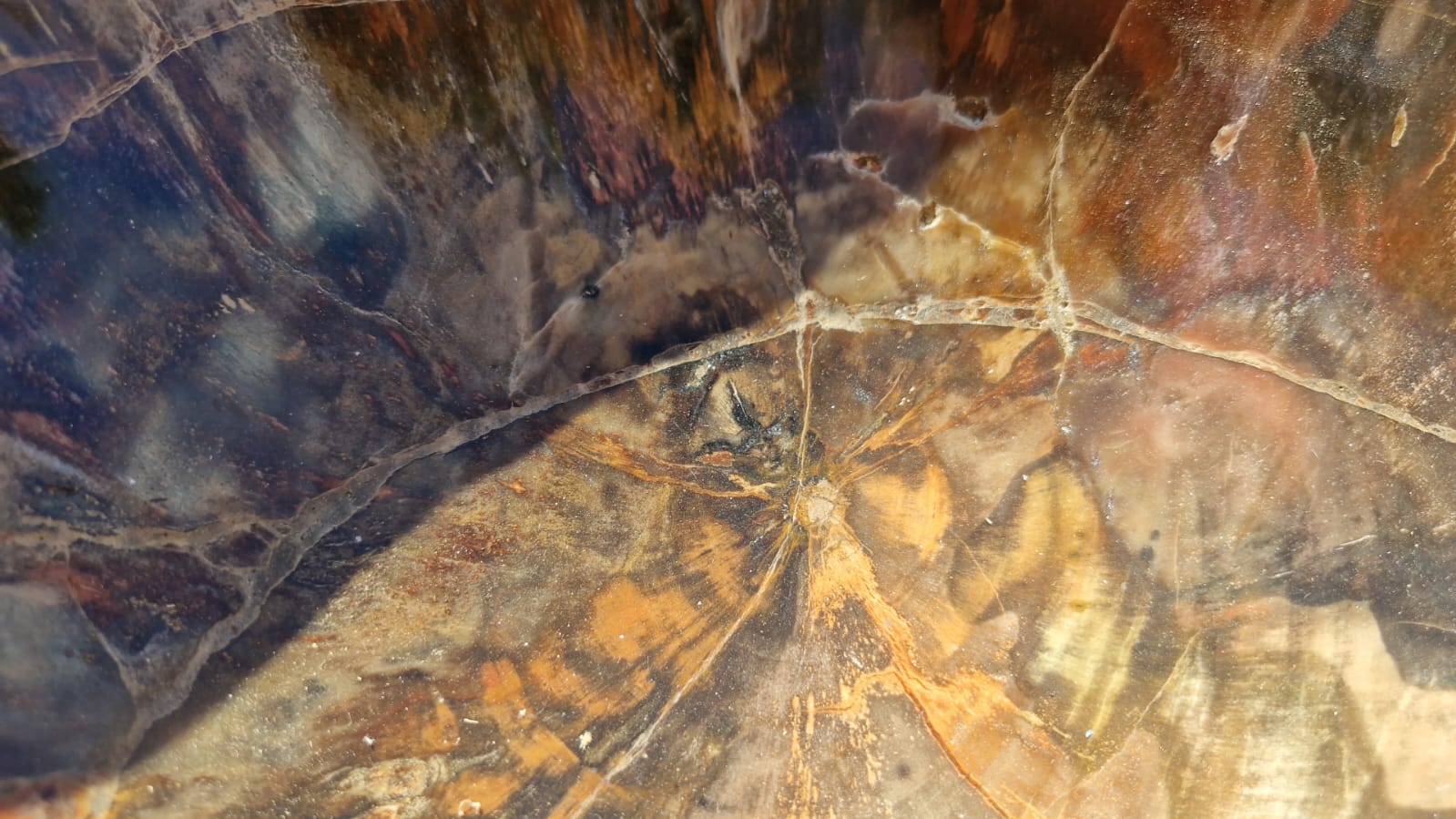 (+12 WEEKS!) Polished XL Red Podocarpus Petrified Wood Bowl x 1 From Marovoay, Madagascar