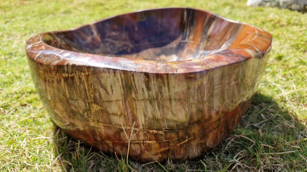 (+12 WEEKS!) Polished XL Red Podocarpus Petrified Wood Bowl x 1 From Marovoay, Madagascar