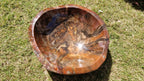 (+12 WEEKS!) Polished XL Red Podocarpus Petrified Wood Bowl x 1 From Marovoay, Madagascar