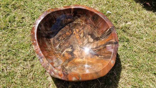 (+12 WEEKS!) Polished XL Red Podocarpus Petrified Wood Bowl x 1 From Marovoay, Madagascar