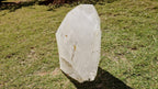 (+12 WEEKS!) Polished XL Quartz Window Crystal with Large Enhydro x 1 From Madagascar