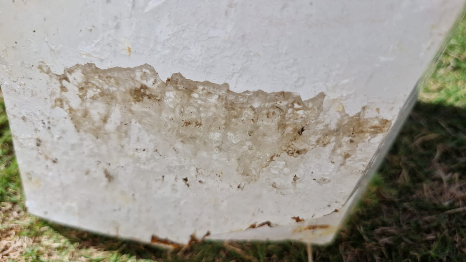 (+12 WEEKS!) Polished XL Quartz Window Crystal with Large Enhydro x 1 From Madagascar